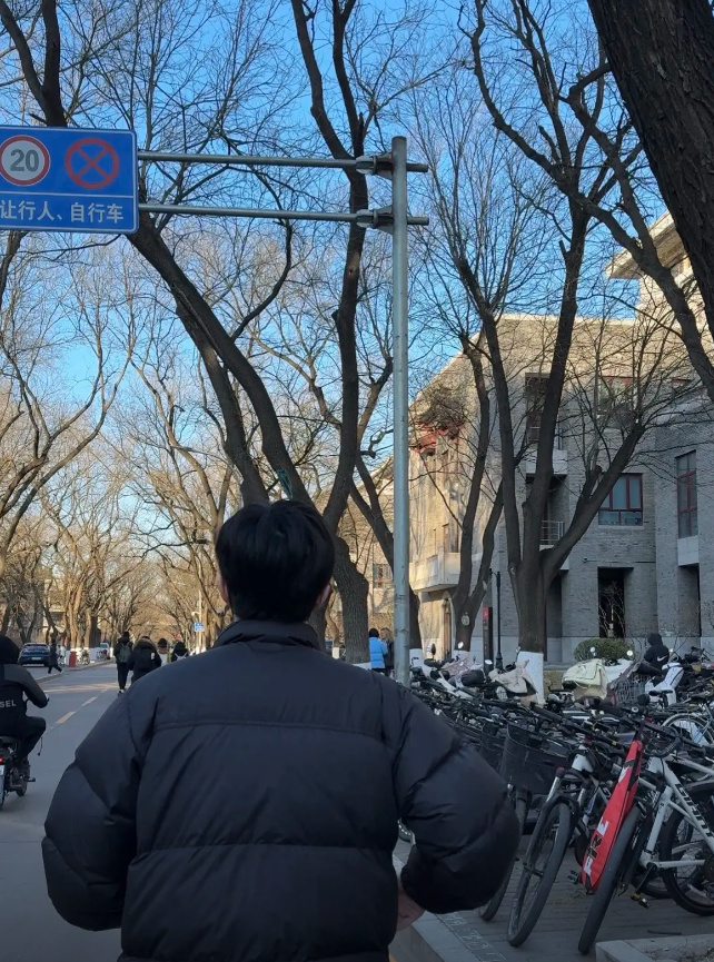 总成绩, msn, 冬去秋来