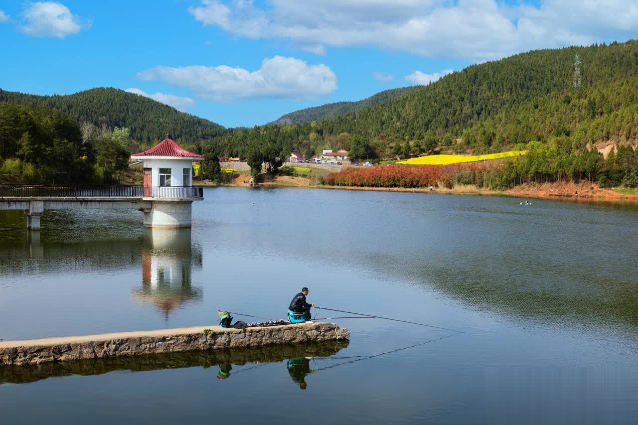 来喂鱼的, 正常 来喂鱼的, 正常