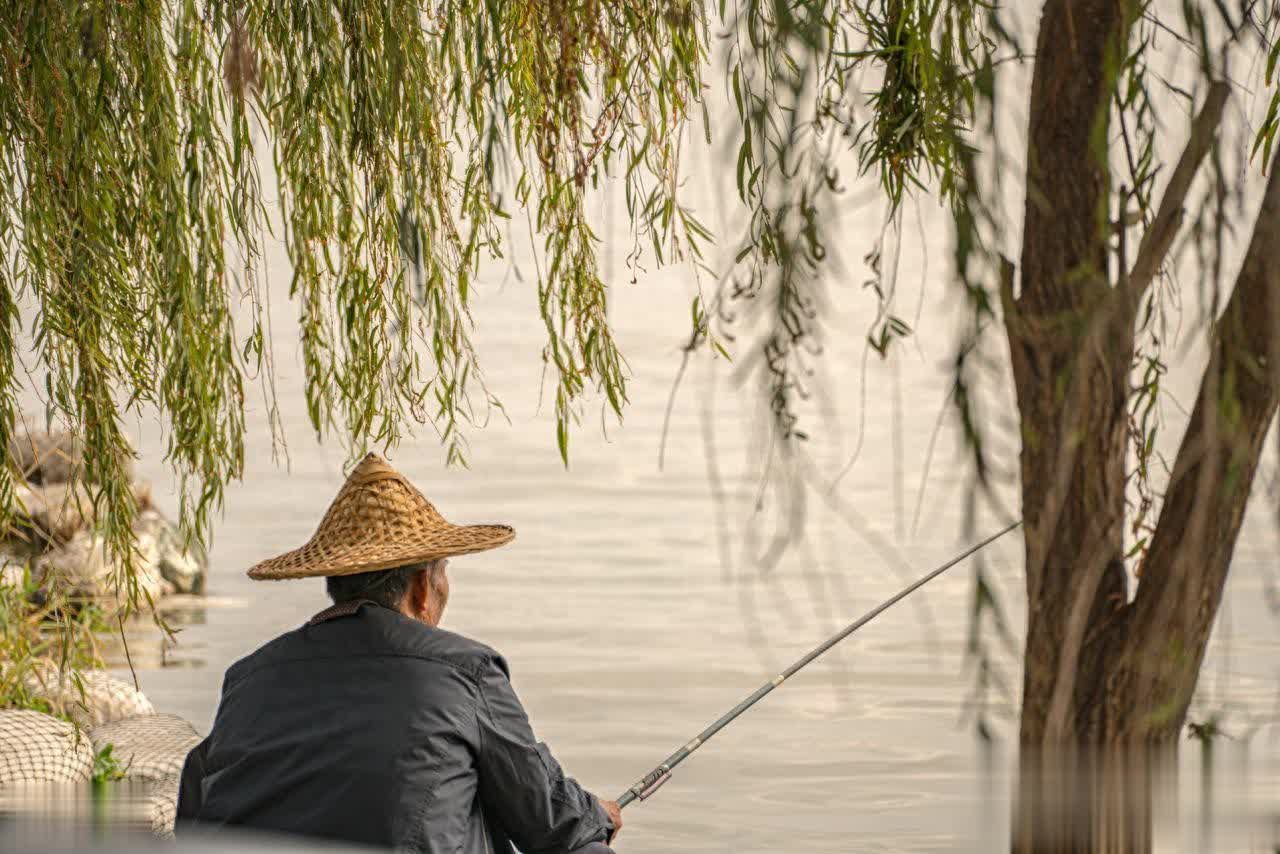 不是正口期, 来喂鱼的嘛, 细了 不是正口期, 来喂鱼的嘛, 细了