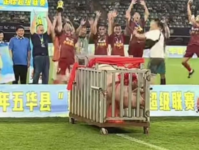 分钱, 年以来的第 分钱, 年以来的第