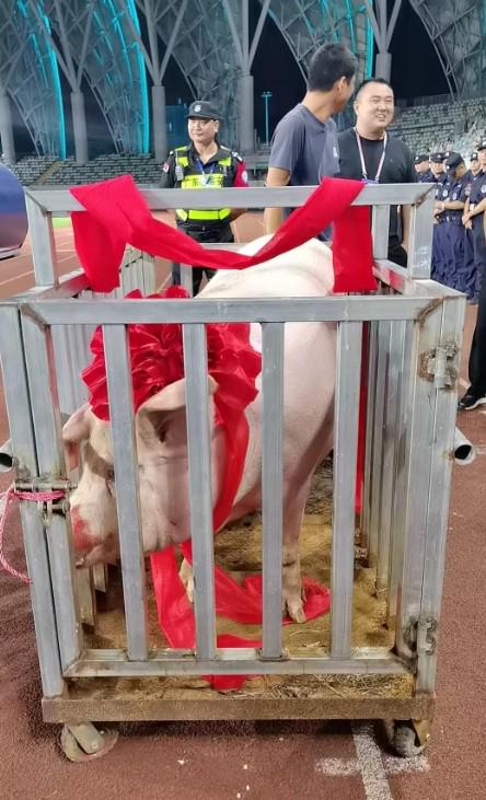 落幕, jpg 落幕, jpg