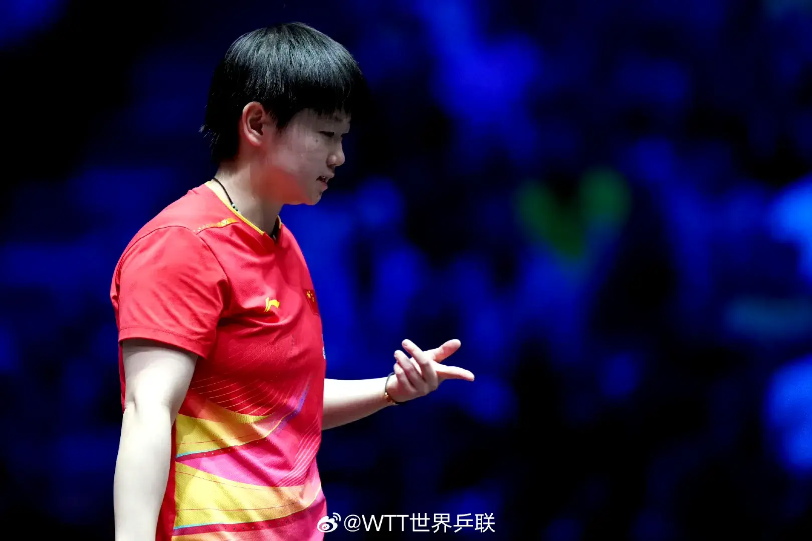 cn, 冠军 cn, 冠军